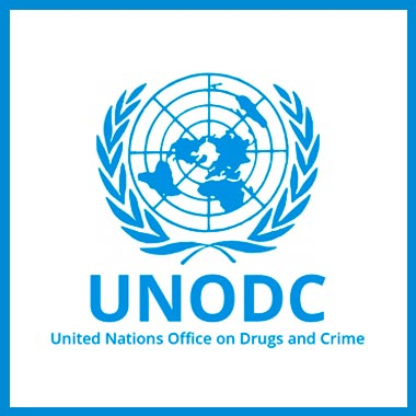 United Nations Office on Drugs and Crime
