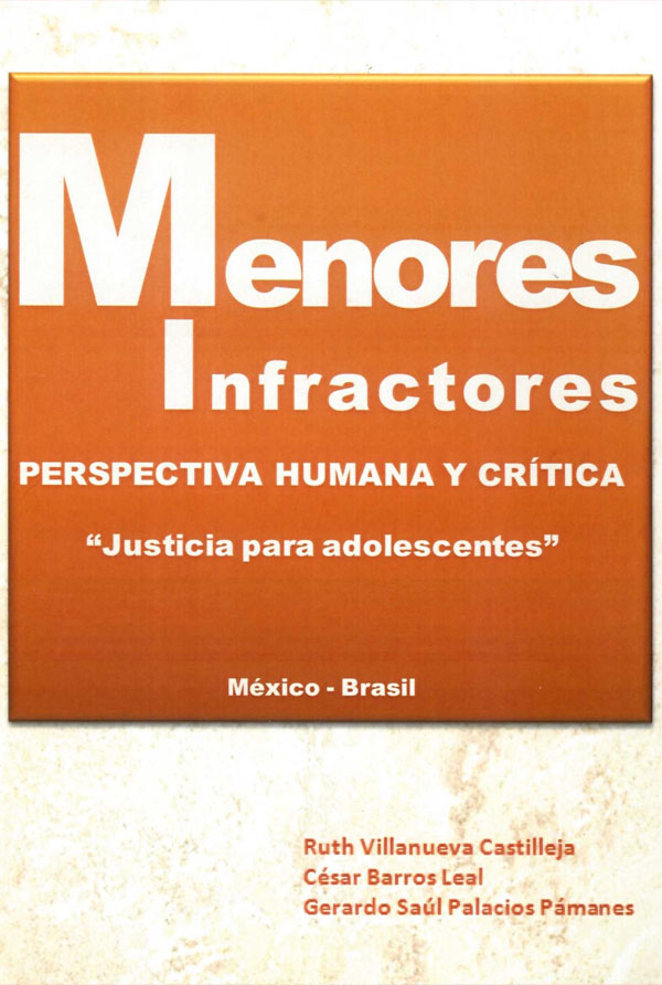 Menores Infractores UPAV
