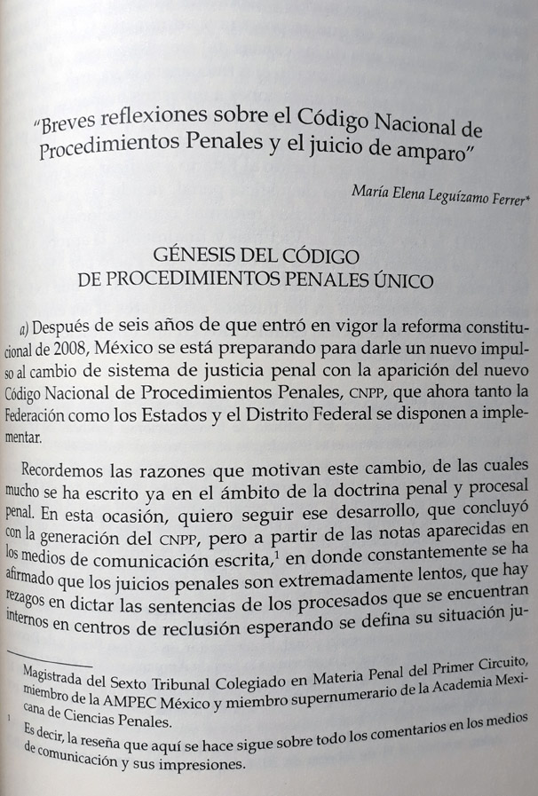Breves reflexiones sobre el Código...